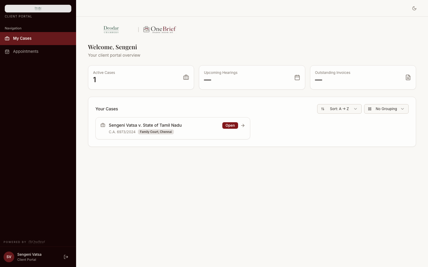 Client portal overview showing the client's active cases